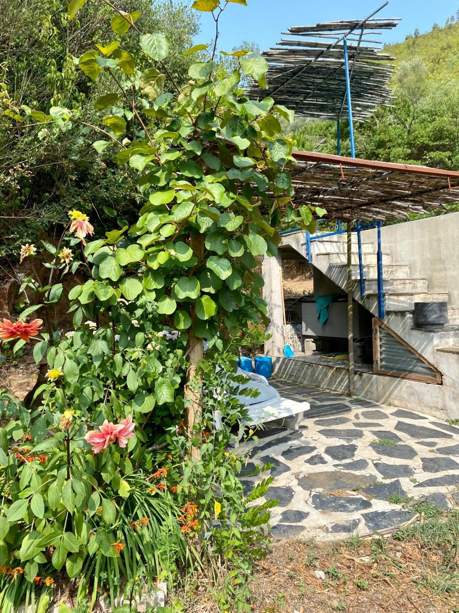 Unique Tiny House With Natural Building Techniques ฟิเกโร โดส วิโญส ภายนอก รูปภาพ